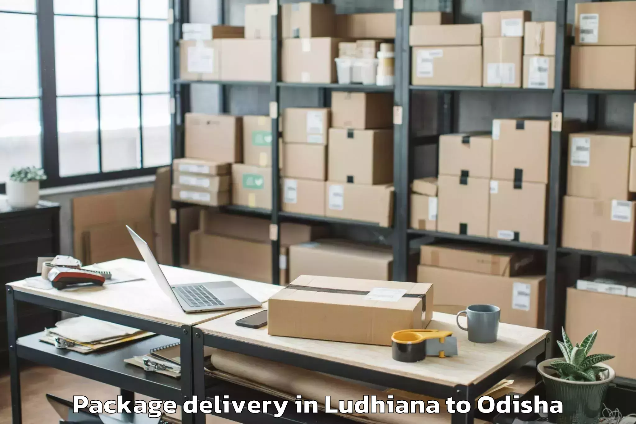 Quality Ludhiana to Nuapada Package Delivery